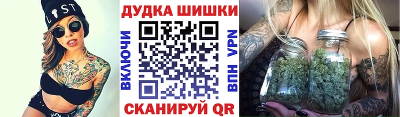 Шишки марихуана планчик  цена наркотик  Вольск 